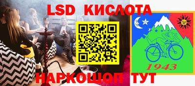 стафф Можга
