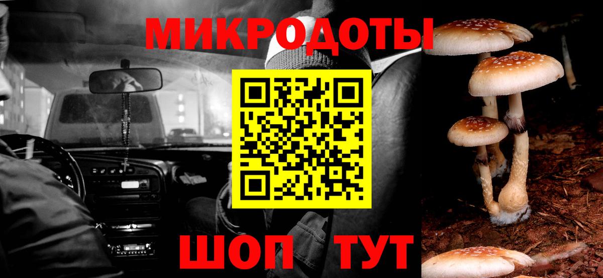 Псилоцибиновые грибы ЛСД  Вход с VPN  Ярославль  Галлюциногенные грибы мухоморы 